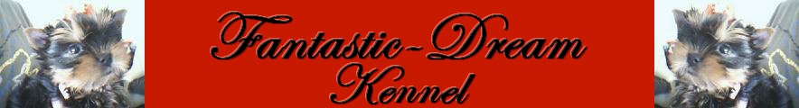 fantasticdream